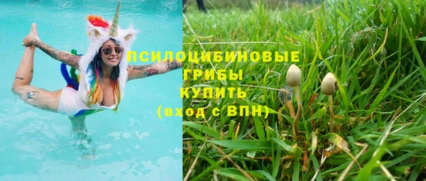 винт Армянск